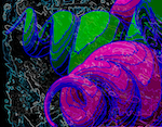 An abstract art piece, a black background covered with white and cyan squiggled outlines, and overlayed with 3d models of spiraling shapes in green and purple